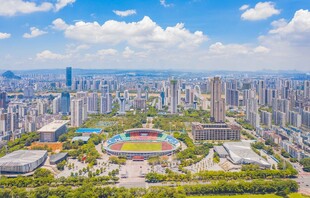 城市全景中的大型体育场