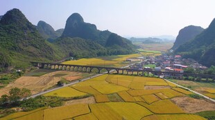 田园山水美景