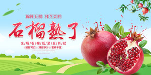  新鲜石榴 