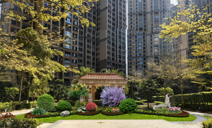 小区门口绿化
