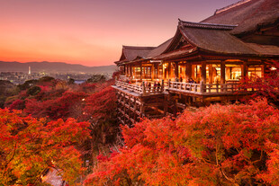 秋日古建赏红叶美景