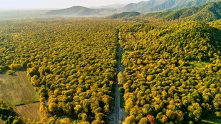 航拍葱郁山林间的道路