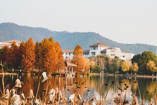 秋日湖畔美景