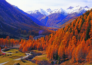 秋日山谷美景