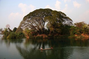 湖畔孤树泛舟景