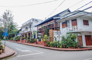街道旁的多彩民居建筑