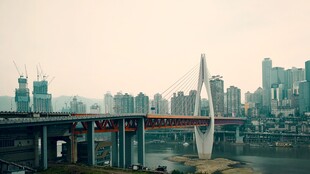 城市桥梁与高楼风景