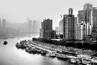 江边高楼林立的城市景观
