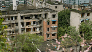 老旧居民楼与周边绿植