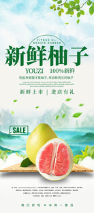 新鲜柚子