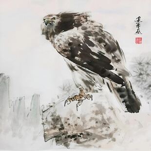 雄鹰眺望图