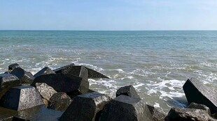 东海岸海景实拍图