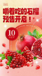 石榴海报
