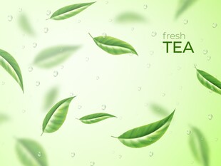 清新茶叶背景