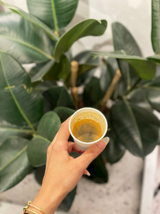 手捧茶饮与绿植的惬意时刻