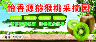 猕猴桃