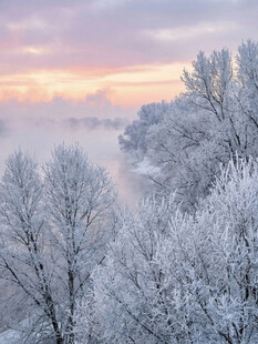 冬日雾凇雪景迷人风光