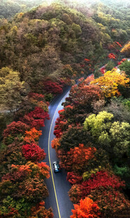 秋日山林间蜿蜒的多彩公路