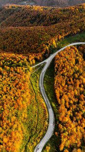 秋日蜿蜒公路美景