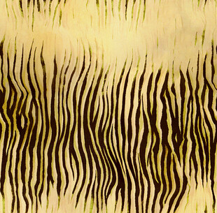 斑马纹图案纹理背景