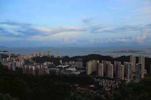 城市天际线与远处海景