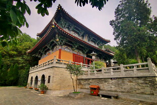 中式古建隐于绿树之间