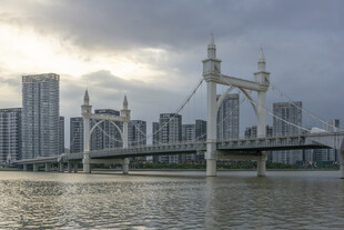 城市河畔桥梁壮丽景观
