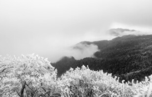 雪覆山林的静谧景致