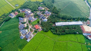 俯瞰乡村田园风光