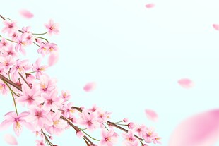 樱花背景素材