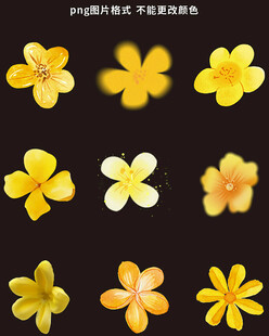 黄色花朵素材