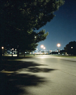 夜晚静谧的道路与树木