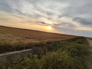 夕阳下的田野与道路