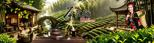 中式茶园景观