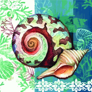 多彩海螺插画海洋风情