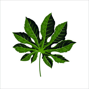 手绘七裂绿叶植物图案