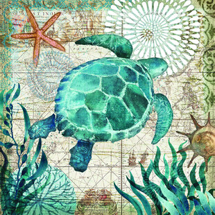 海洋海龟与多彩海底景观