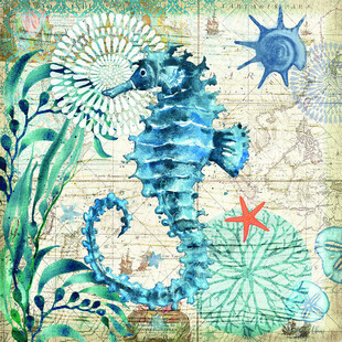 海洋风海马插画艺术图案