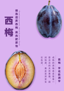 西梅展示图