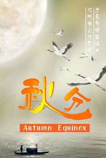 秋意浓 白鹤伴月共舞