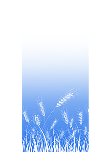 麦穗