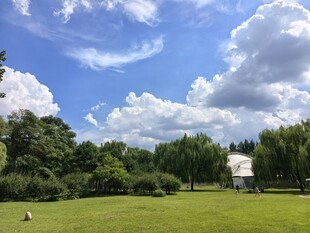 户外绿野蓝天美景