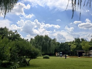 户外绿意盎然的休闲场景