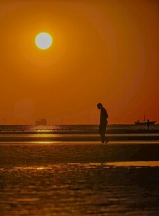 滩涂赶海者