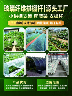 玻璃纤维