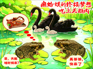 癞蛤蟆想吃天鹅肉