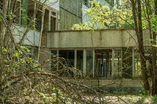 废弃建筑被绿植环绕
