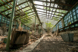废弃温室内部破败景象
