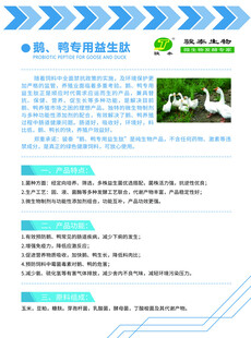 饲料 环保宣传页内容展示