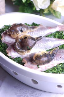 红烧河豚鱼